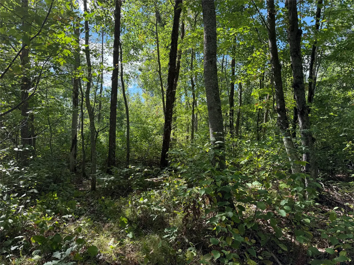 0 Shell Creek Road, Minong, WI 54859 - #1
