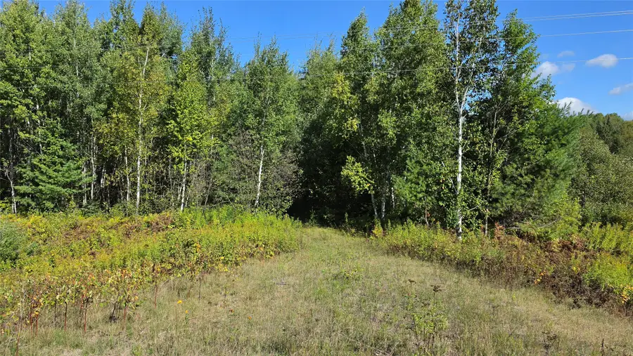 4602W State Highway 70, Winter, WI 54896 - #2