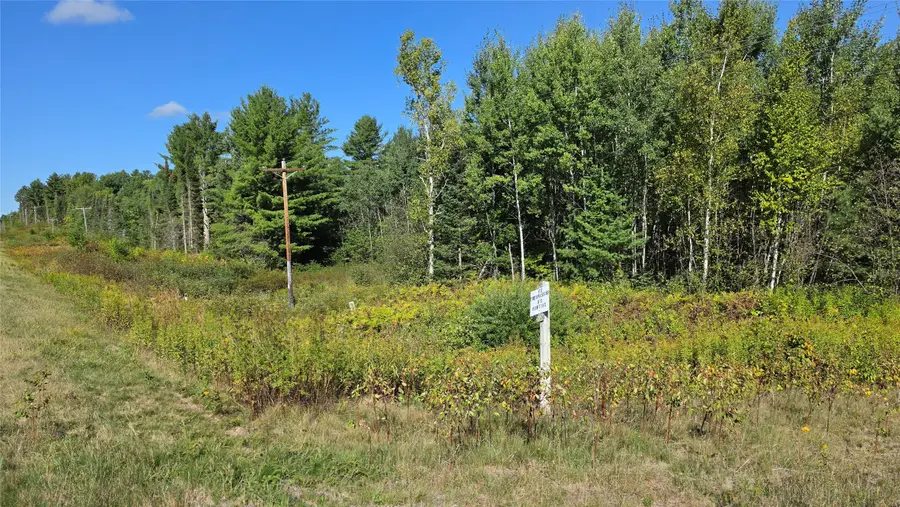 4602W State Highway 70, Winter, WI 54896 - #3