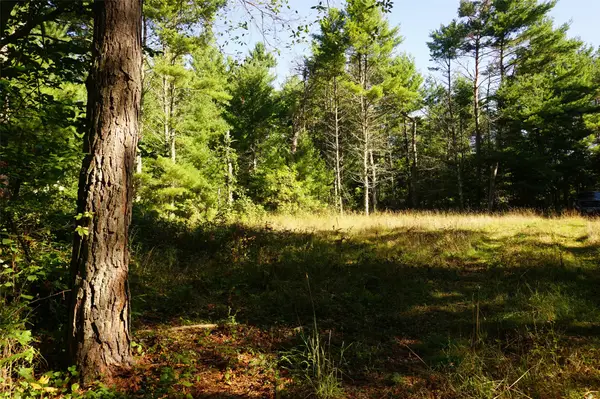 N9105 Flood -- Lot 5 Road, Black River Falls, WI 54615