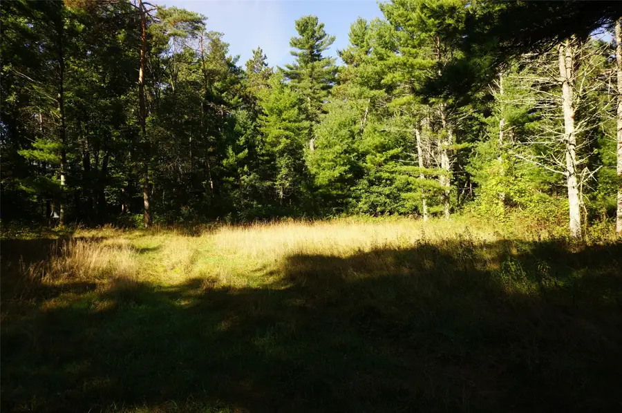 N9105 Flood -- Lot 5 Road, Black River Falls, WI 54615 - #2