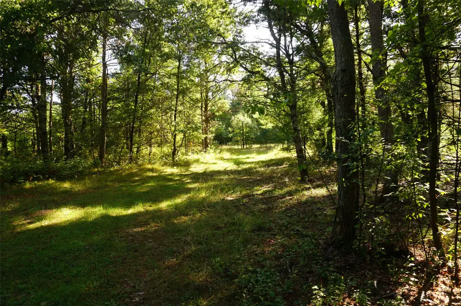 N9105 Flood -- Lot 5 Road, Black River Falls, WI 54615 - #3