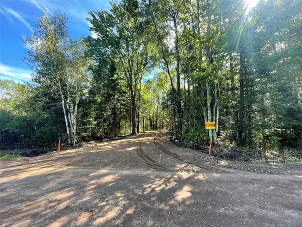 Lot 2 Fadness Road, Winter, WI 54896
