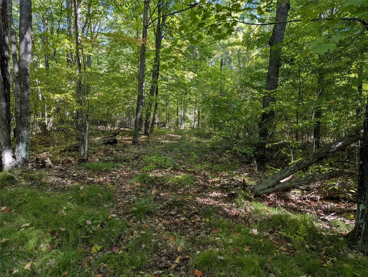 Lot 17 Rabbit Run, Ojibwa, WI 54862 - #1