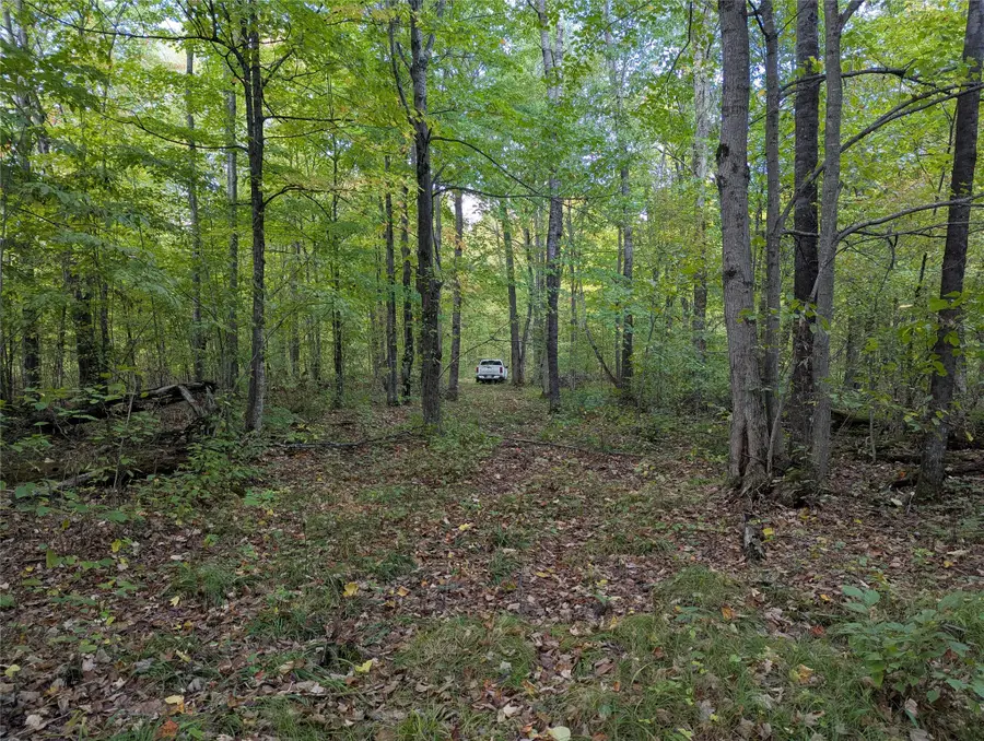 Lot 17 Rabbit Run, Ojibwa, WI 54862 - #2