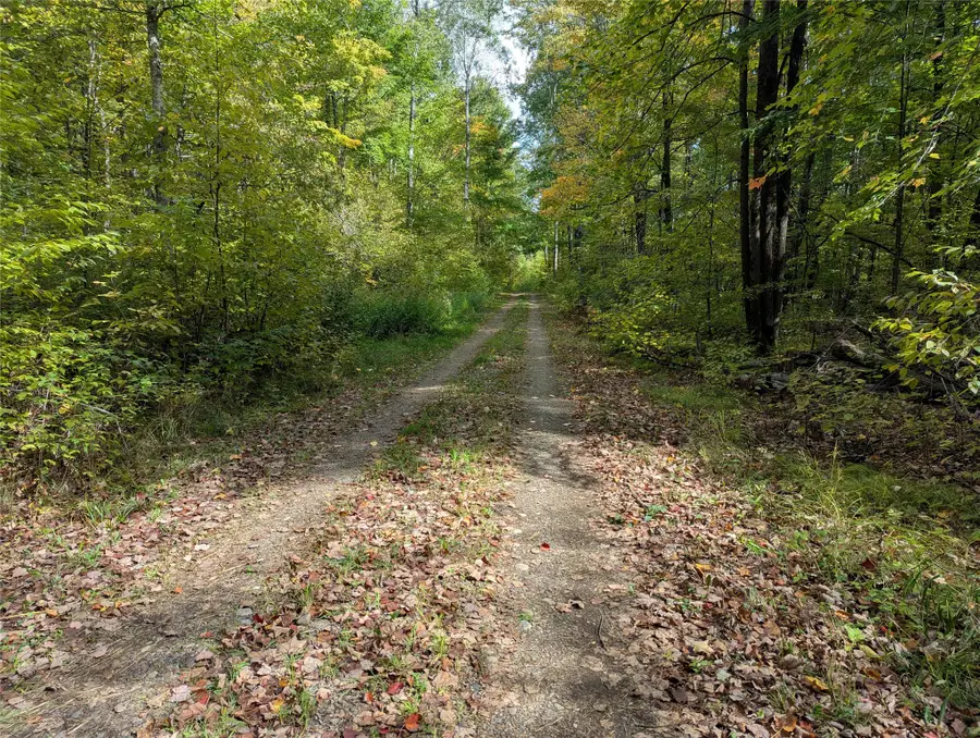 Lot 17 Rabbit Run, Ojibwa, WI 54862 - #3