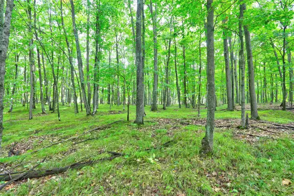 0 Twin Lake Road, Hayward, WI 54843