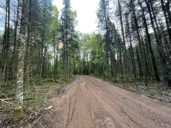 Lot 1 Fadness Road, Winter, WI 54896