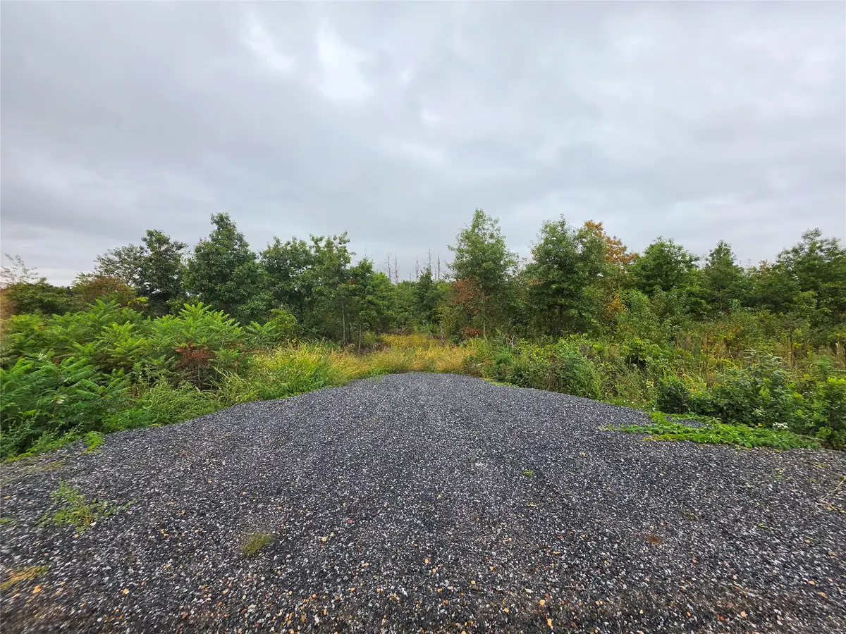 Lot 6 370th Avenue, Elk Mound, WI 54739 - #1