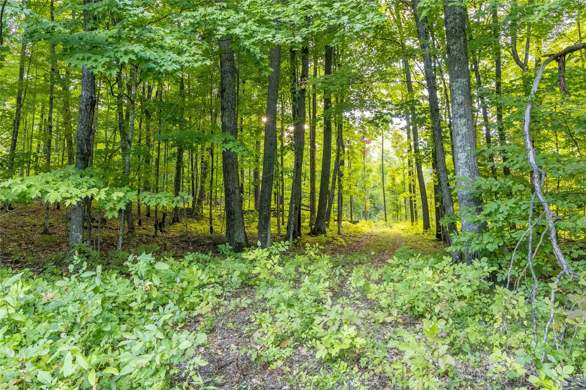 38.2 Acres Vierck Lane, Exeland, WI 54835 - #1