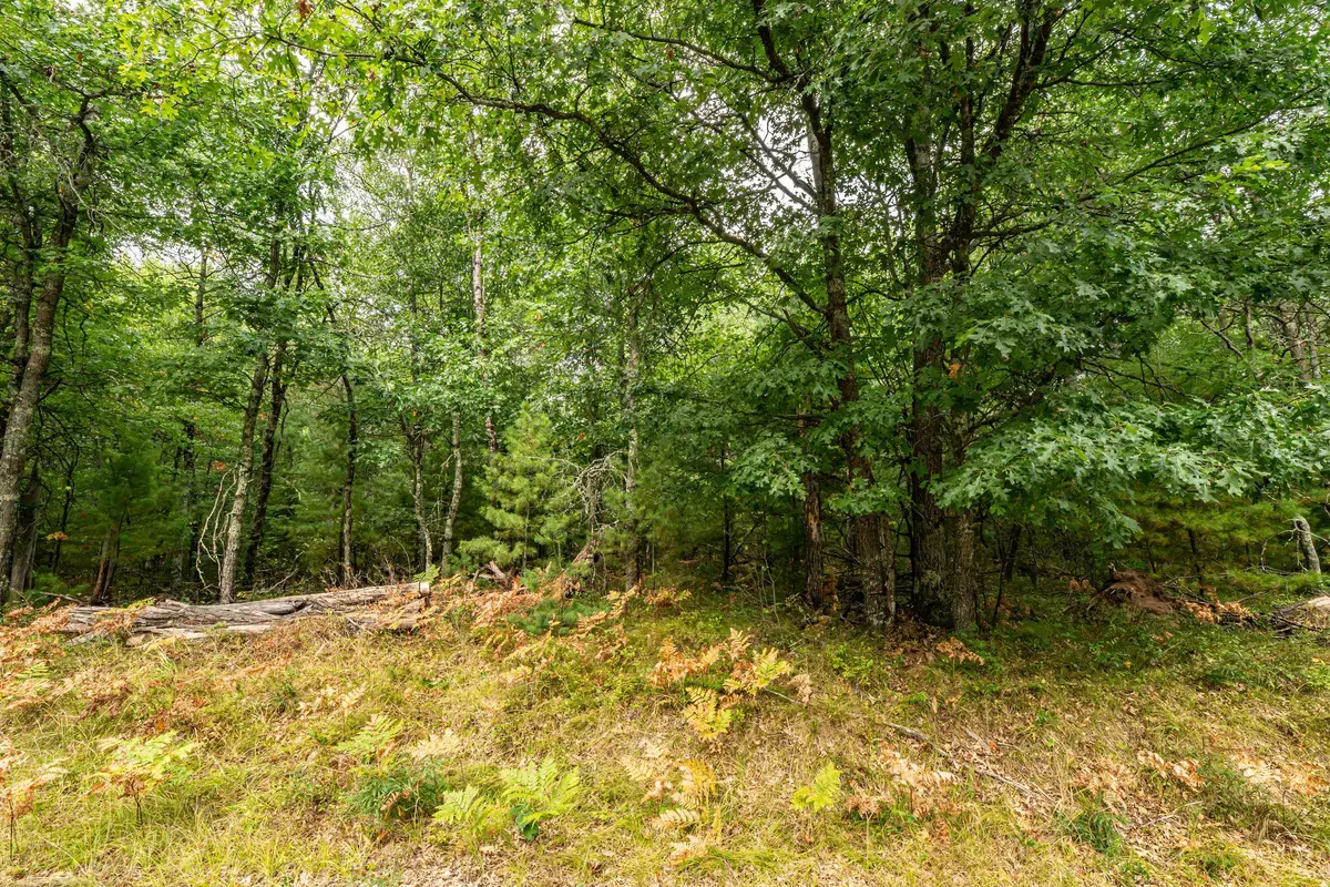 001 Birch Lake Road, Barnes, WI 54873 - #1