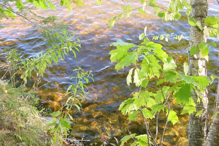 Lot 6 Mae West Road, Ladysmith, WI 54848 - #3