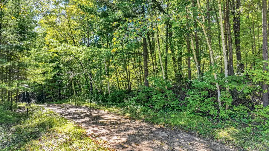 Lot 2 On 290th Avenue, Holcombe, WI 54745 - #2