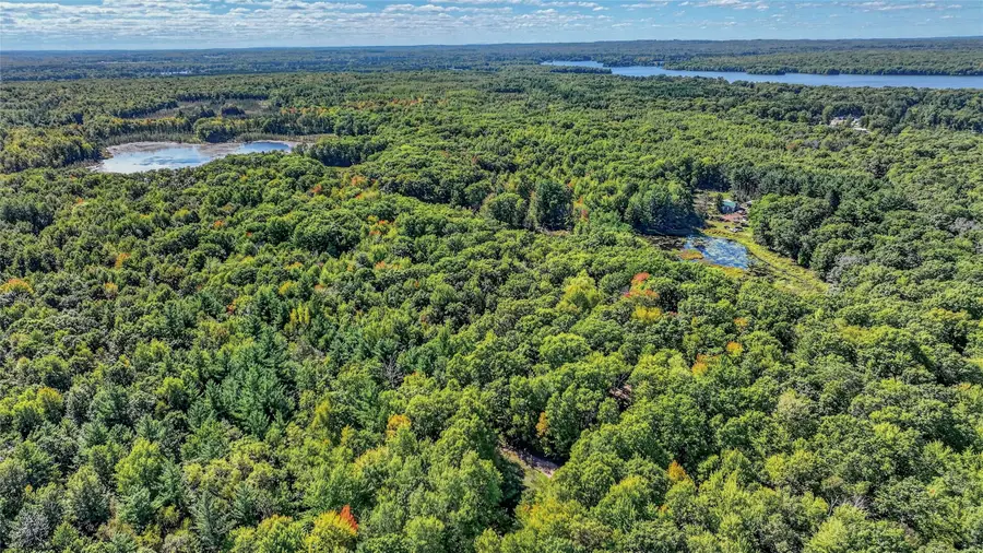 Lot 2 On 290th Avenue, Holcombe, WI 54745 - #3