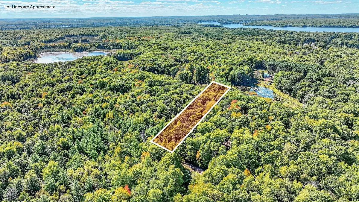 Lot 3 On 290th Avenue, Holcombe, WI 54745 - #1