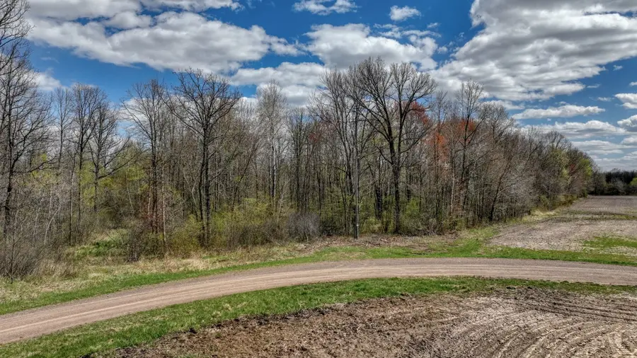 27.6 Acres Off Helena Drive, Conrath, WI 54731 - #3