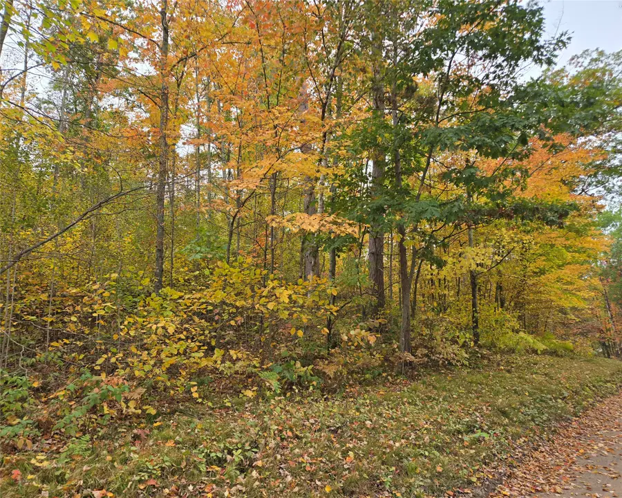 16119 W Henks Road, Hayward, WI 54843 - #3