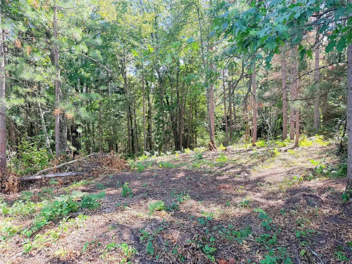 Lot 3 Boat Landing Road, Ladysmith, WI 54848 - #1