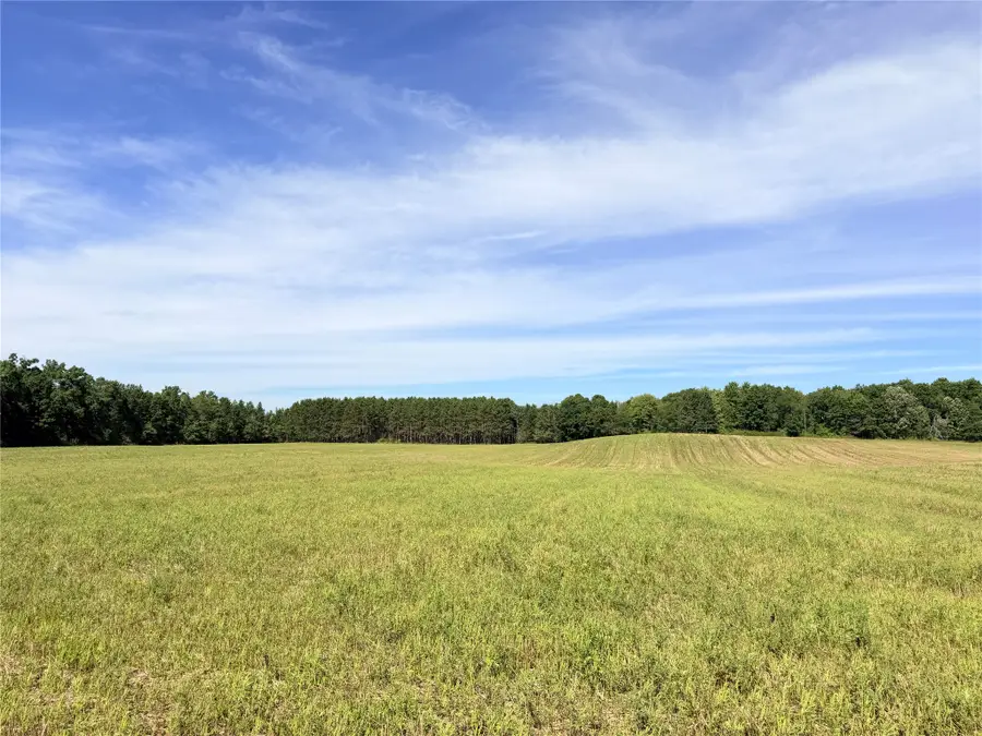 Lot 7 Peterson Road, Bruce, WI 54819 - #3