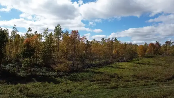126XX Fairman Lane, Exeland, WI 54835