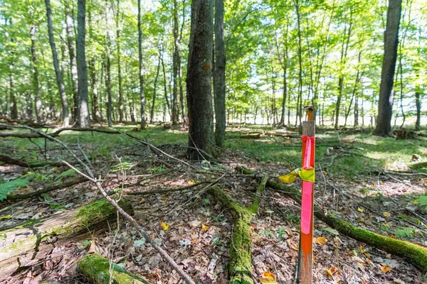 Lot5 815th Avenue, Menomonie, WI 54751