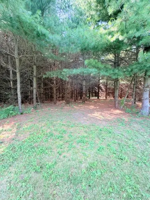 Lot 1 of CSM 4016 Us Highway 12, Fall Creek, WI 54742 - #2