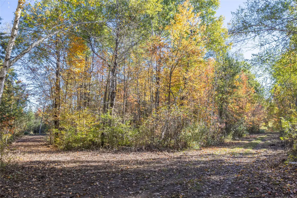 5 Acres Aggie Lane, Ladysmith, WI 54848 - #1