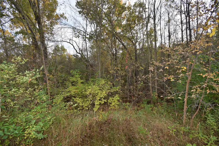 Lots 1-8 Center Street, Danbury, WI 54830 - #3
