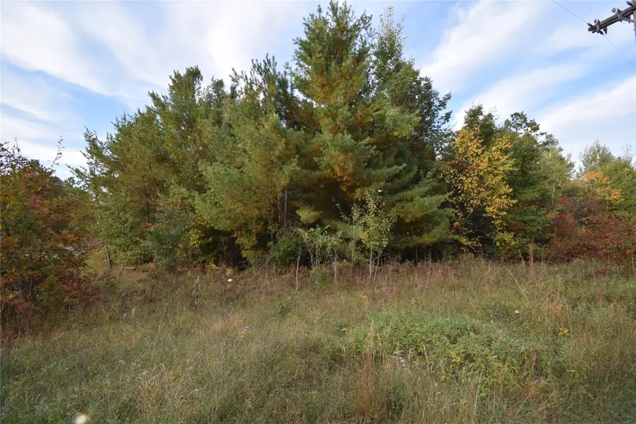 Lots 5-7 S First Avenue, Danbury, WI 54830 - #2
