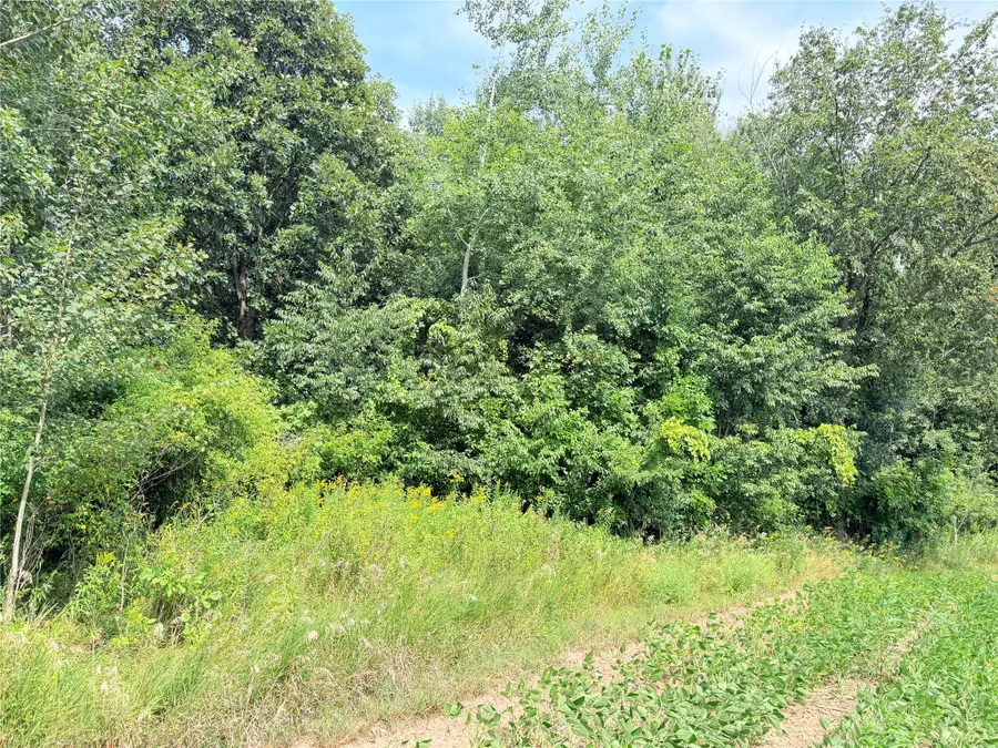 10 Acres Lot 3 230th Street, Saint Croix Falls, WI 54024 - #3
