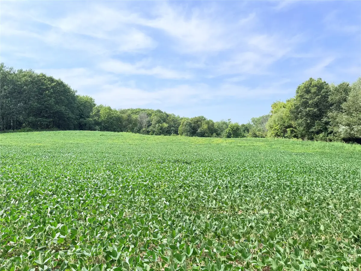 Lot 2 - 10 Acres 230th Street, Saint Croix Falls, WI 54024 - #1