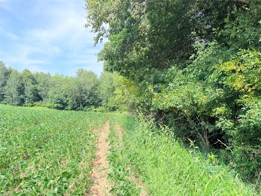 Lot 2 - 10 Acres 230th Street, Saint Croix Falls, WI 54024 - #2