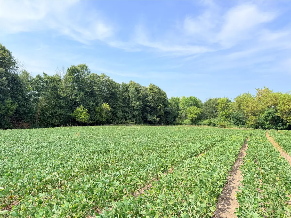 11.97 Acres 230th Street, Saint Croix Falls, WI 54024 - #1