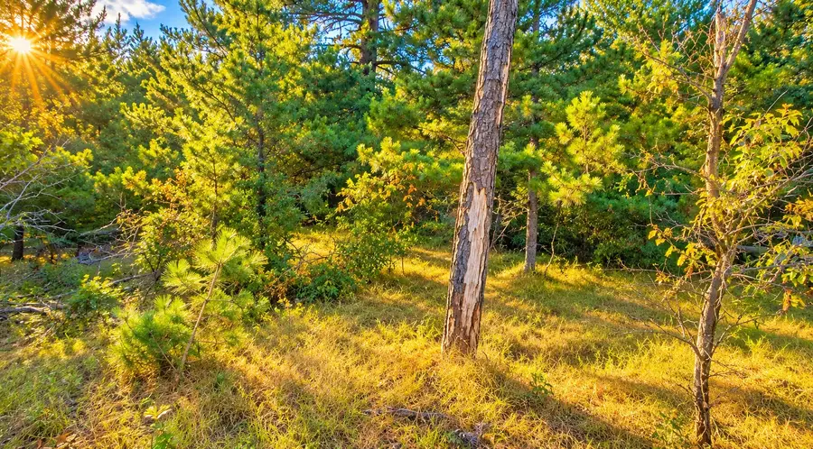 TBD Souix Lane, New Lisbon, WI 53950 - #2
