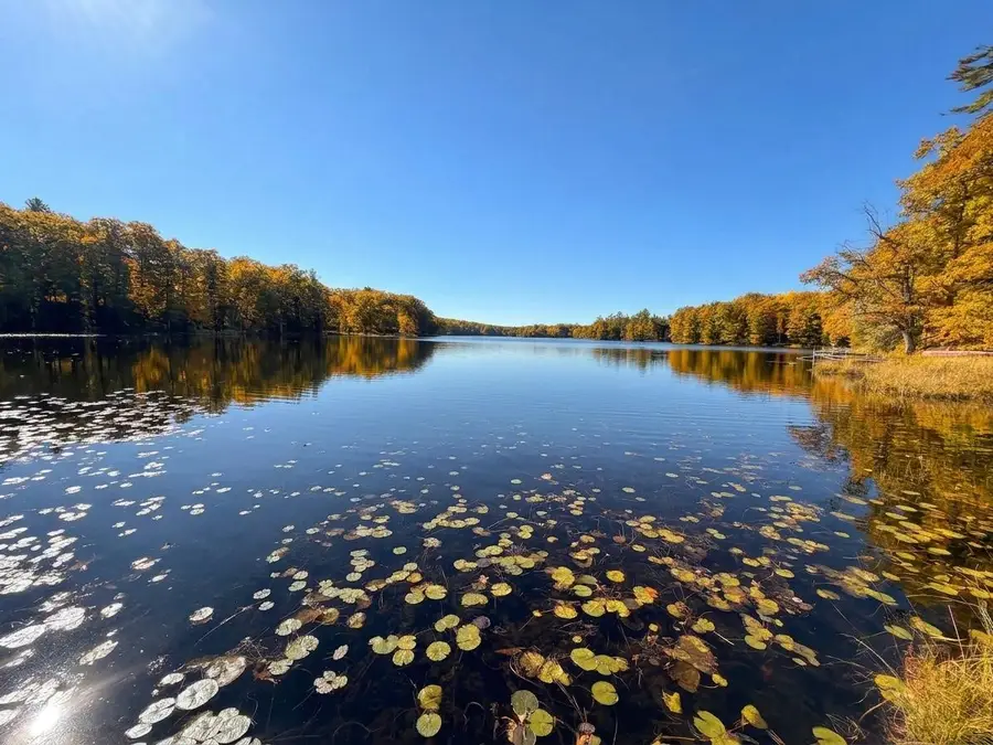 Lot 78, 79 Loons Landing Road, Weyerhaeuser, WI 54895 - #2