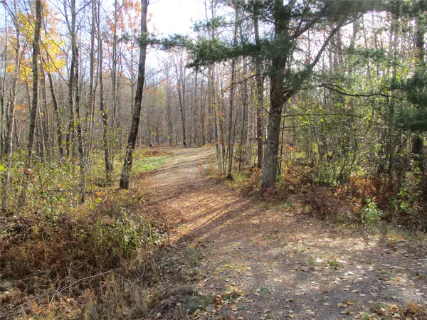 LOT #25 E Lakeshore Drive & 28 1/8 Street, Birchwood, WI 54817