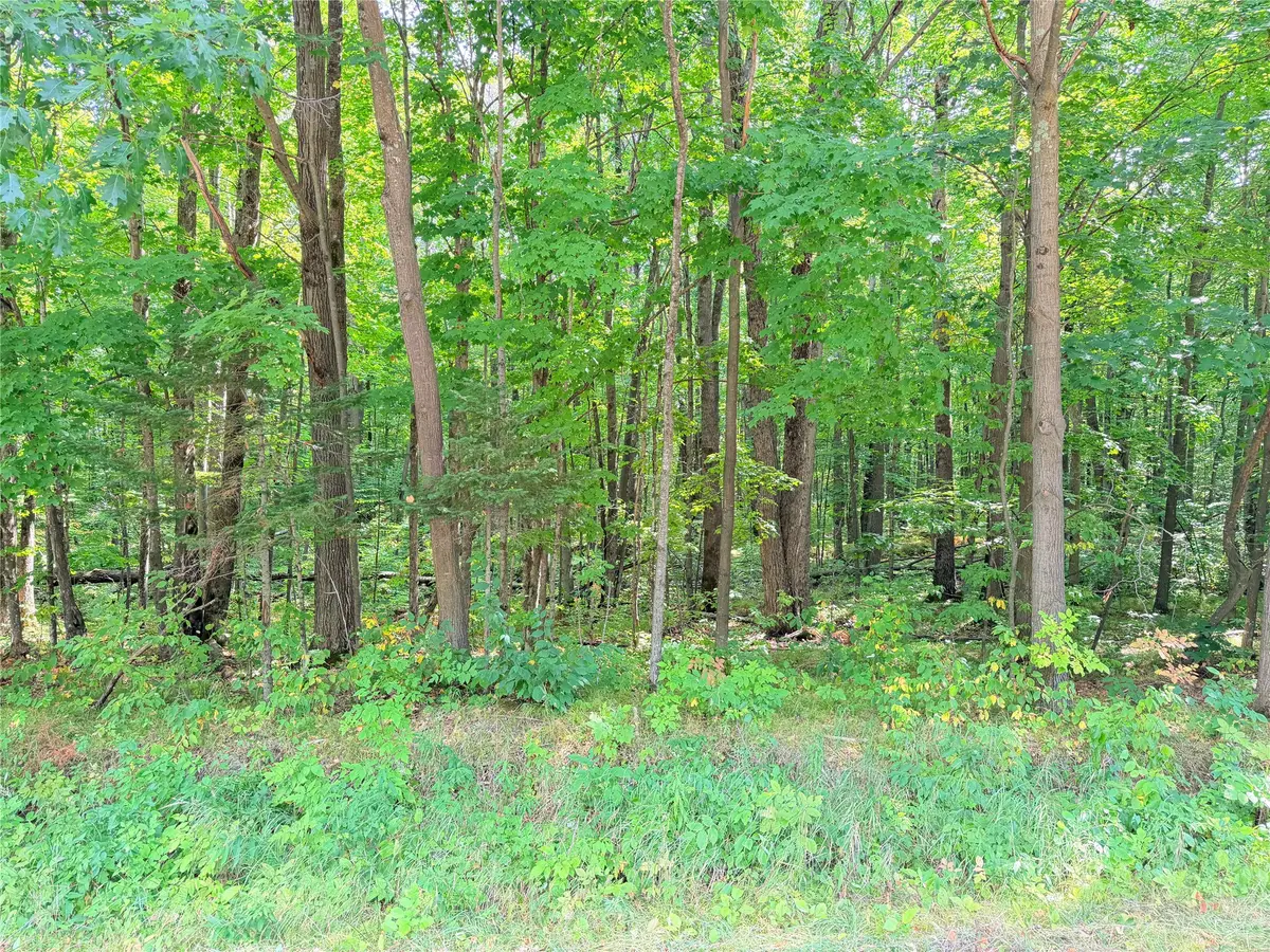 30 Acres County Highway X, Glen Flora, WI 54526 - #1