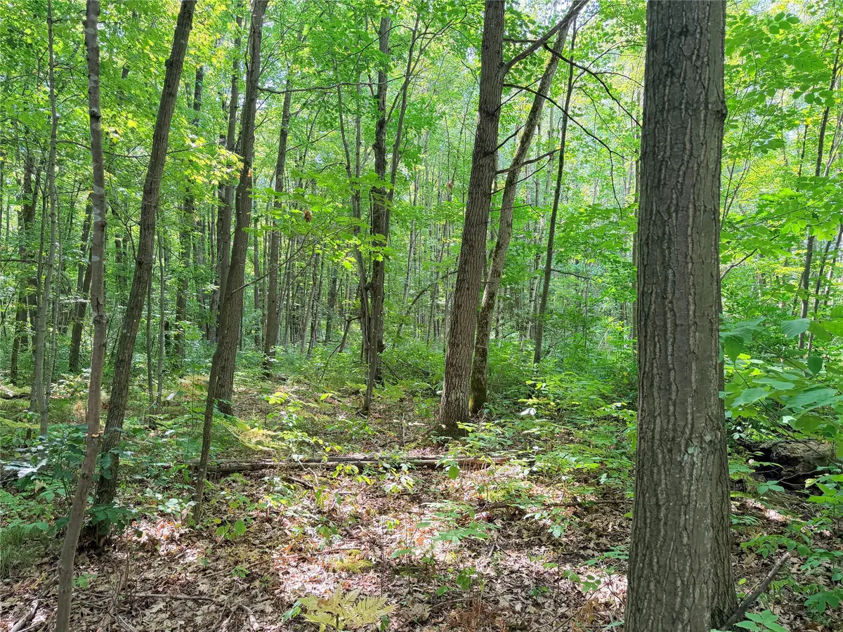 Lot 2 County Highway X, Glen Flora, WI 54526 - #1
