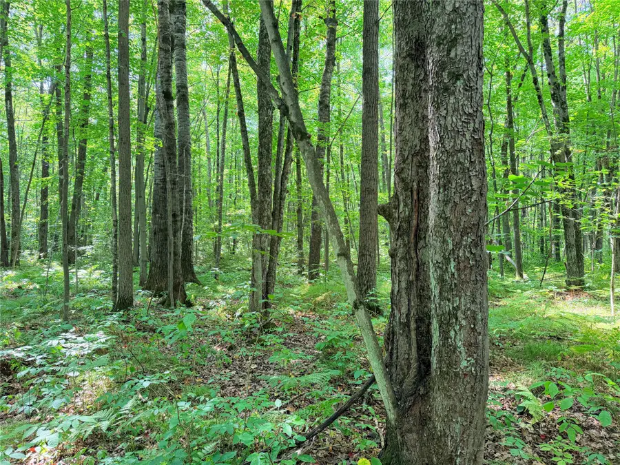 Lot 2 County Highway X, Glen Flora, WI 54526 - #3