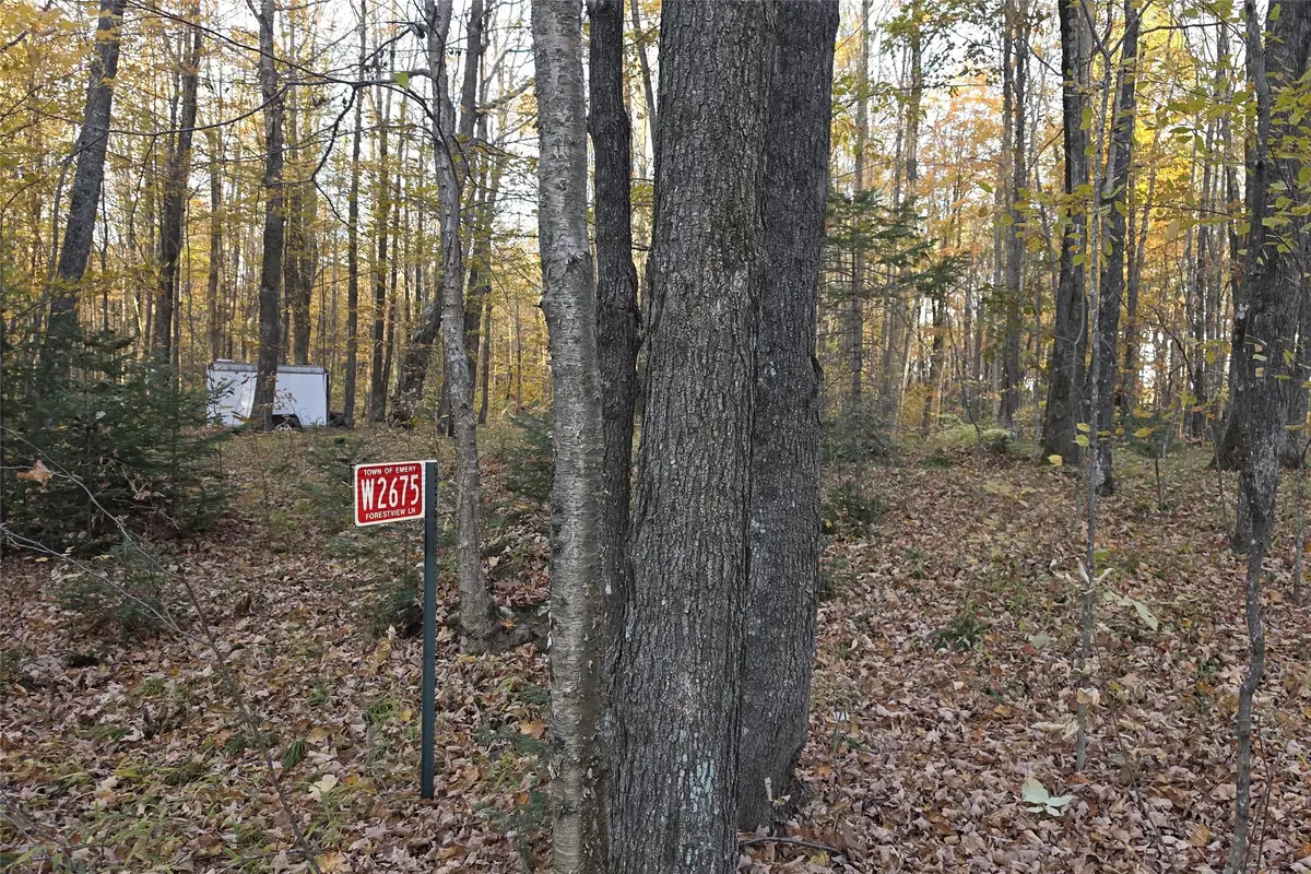 W2675 Forestview Lane, Phillips, WI 54555 - #1