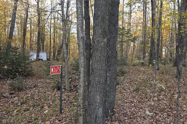 W2675 Forestview Lane, Phillips, WI 54555