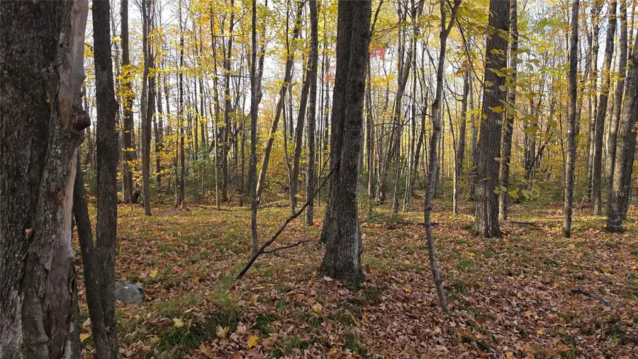 W2675 Forestview Lane, Phillips, WI 54555 - #3