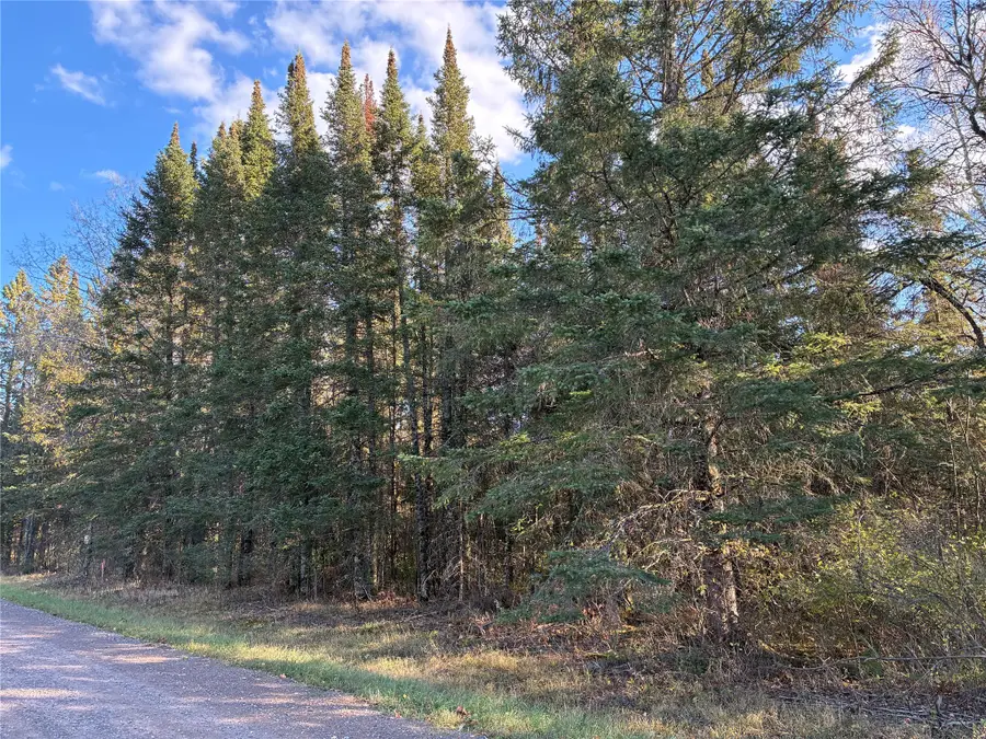 Lot 3 Fadness Road, Winter, WI 54896 - #3