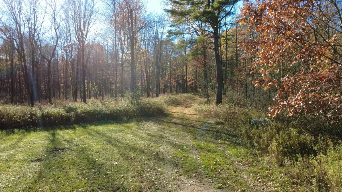 208220 Kane Lane, Mosinee, WI 54455 - #1