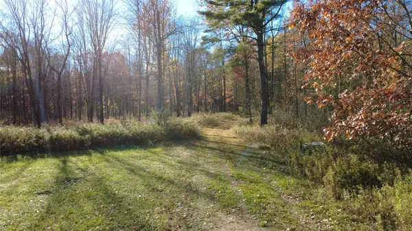 208220 Kane Lane, Mosinee, WI 54455