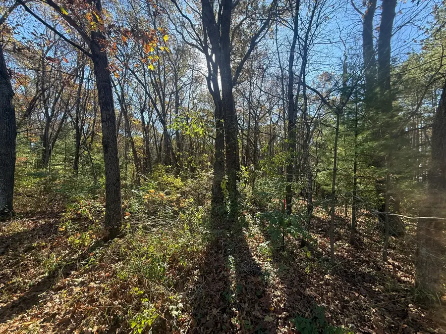 0 Willow Road, Eleva, WI 54738 - #2