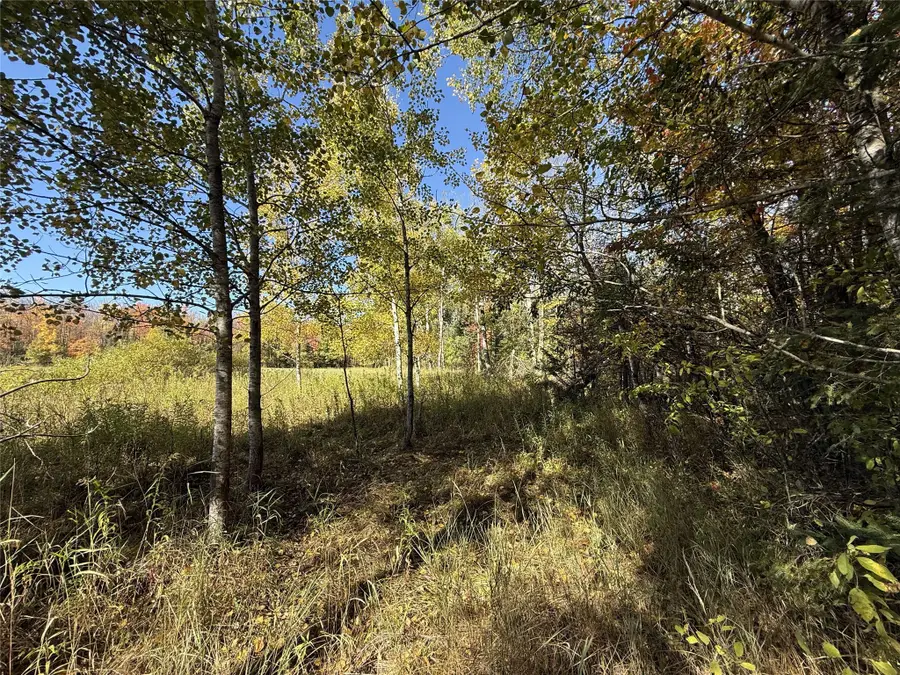 0 Moonshine Alley Lot 2, Catawba, WI 54515 - #3