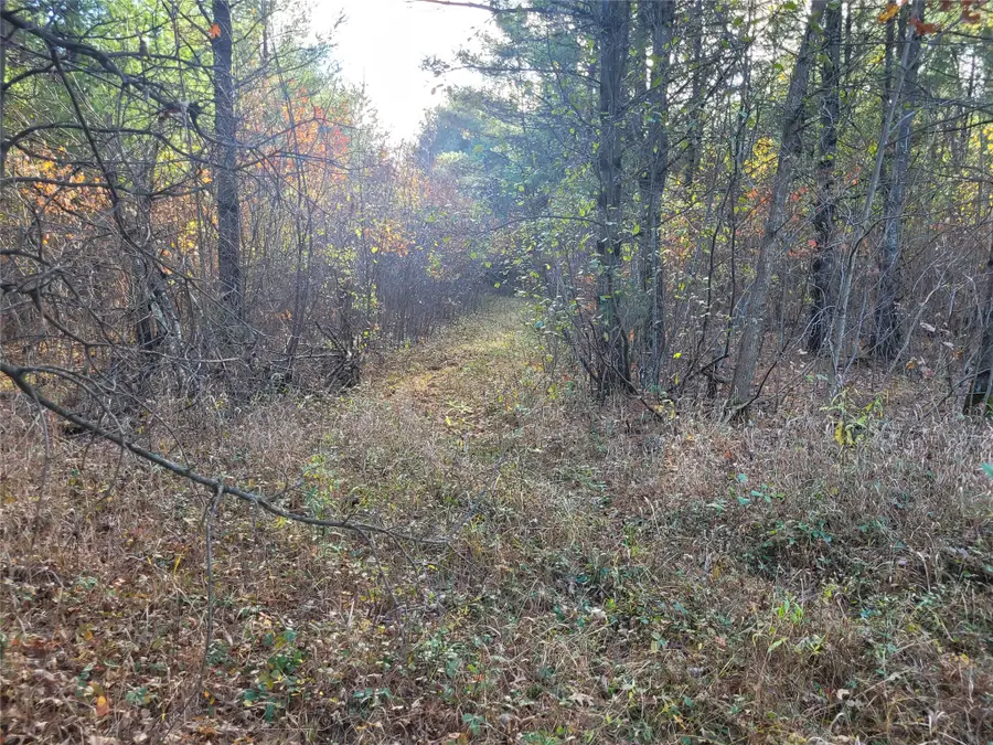 N10835 Kovar Road, Alma, WI 54741 - #2