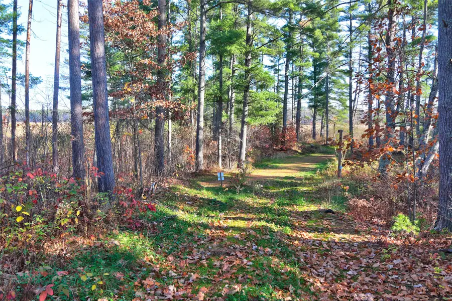 11312N Vasa Road, Hayward, WI 54843 - #3