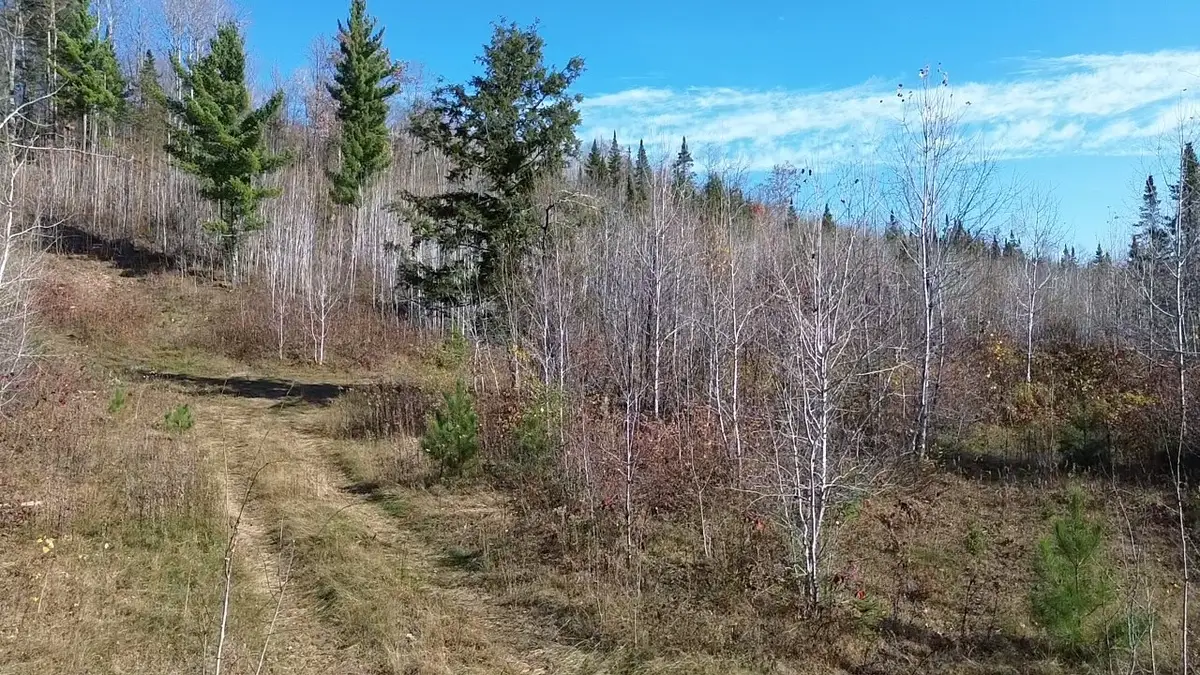 125XX State Highway 70, Couderay, WI 54828 - #1
